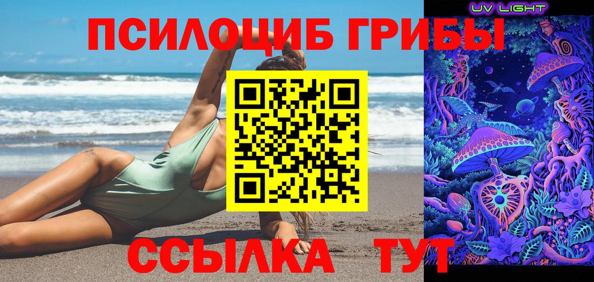 Черняховск  Галлюциногенные грибы мухоморы  Вход с VPN 